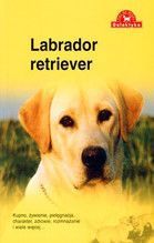 PIES NA MEDAL LABRADOR RETRIEVER WYD.2009